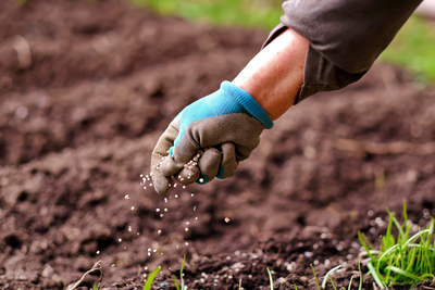 Fertilizantes