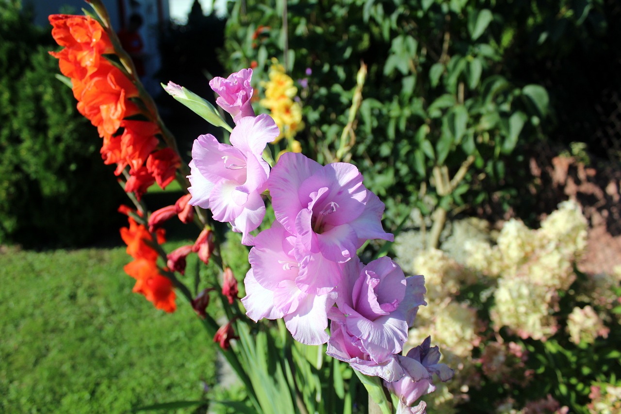 5 tips- para que tu jardin luzca impresionante enprimavera